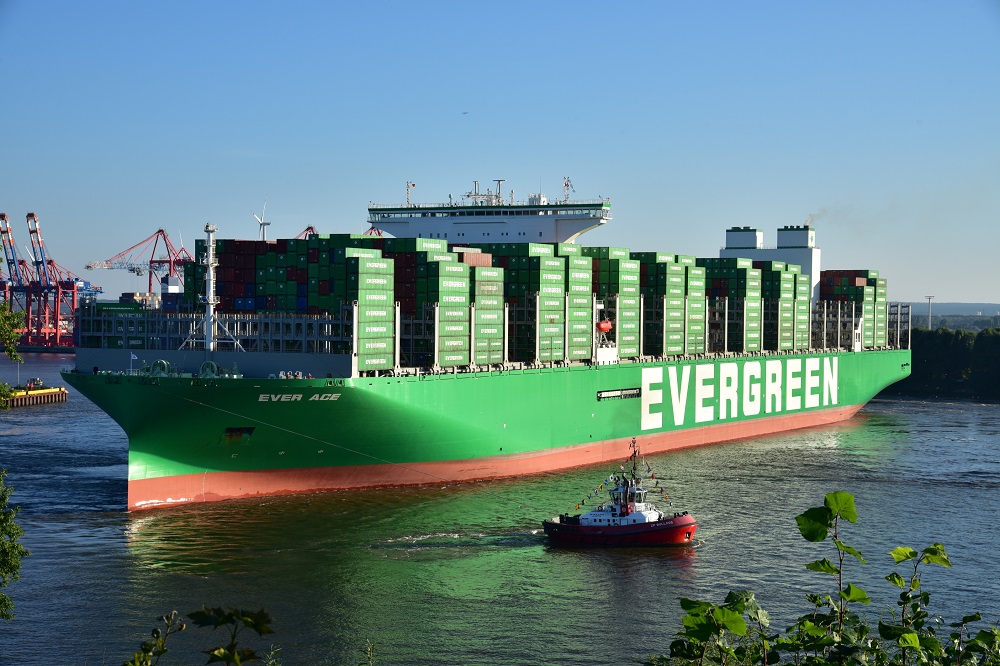 A giant as a guest in Hamburg